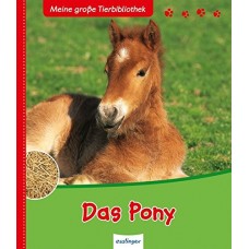 TEMPORARILY OUT OF STOCK - Das Pony